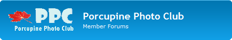 Porcupine Photo Club