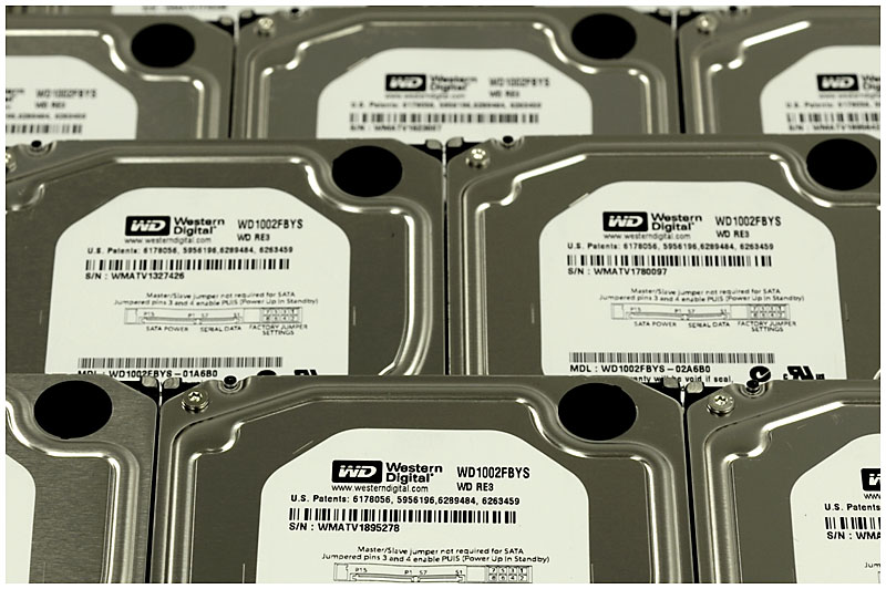 WD1002FBYS