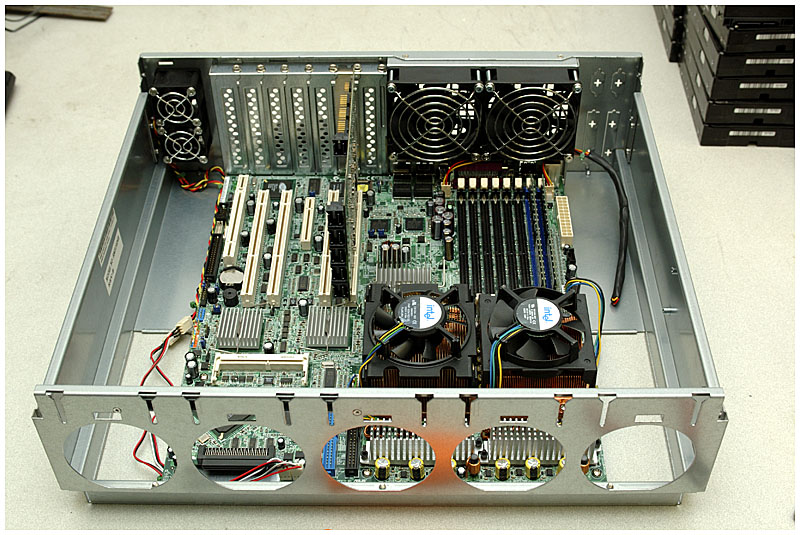 Transplanted guts