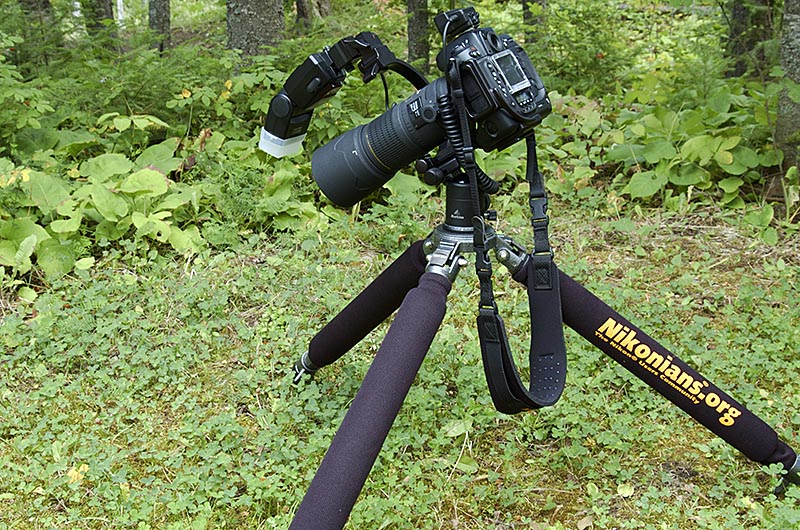 Sigma 180mm f/3.5 Macro