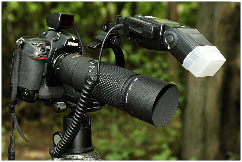 D2X with 200mm f4 Micro