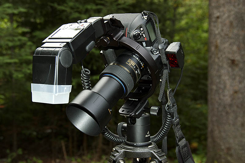 Tamron 90mm f/2.8 Macro