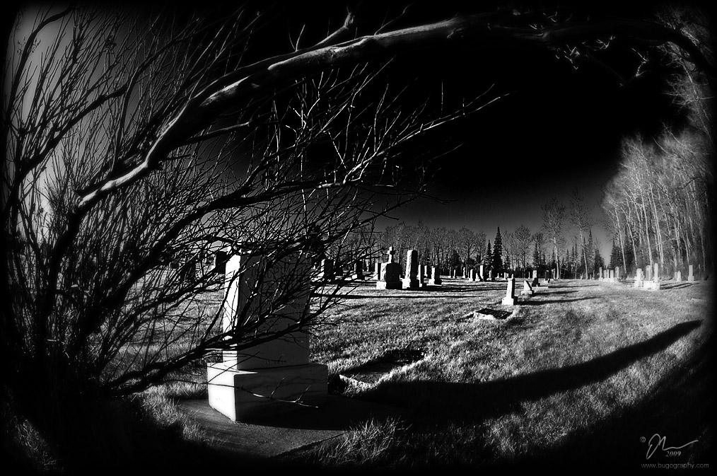 tombstone.jpg - (c) 2009 A. Dale McLean aka PS-RagE