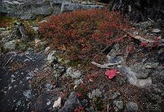 Fall_2010_1