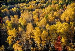 Fall_2010_10