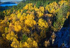 Fall_2010_11