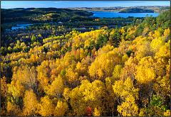 Fall_2010_12