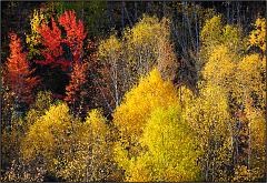 Fall_2010_15