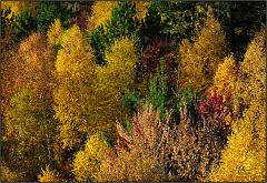 Fall_2010_16