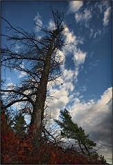 Fall_2010_2
