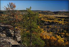 Fall_2010_4