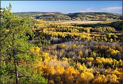 Fall_2010_5