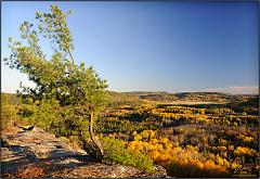 Fall_2010_6