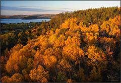 Fall_2010_8
