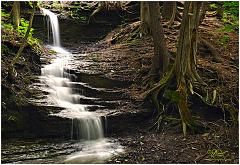 fitzfalls1