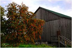 pfbarn