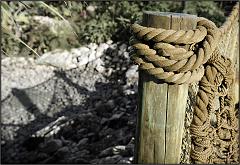 ropepole