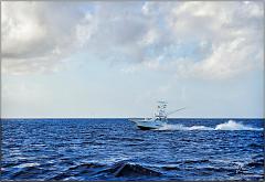 sscruise3