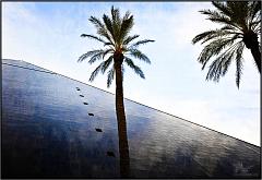 Vegas6