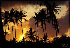 Travel