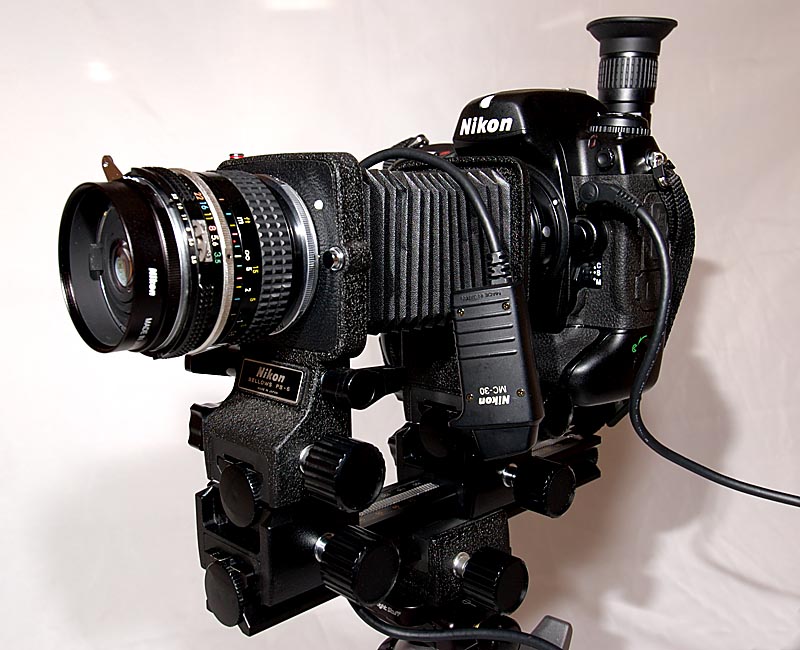 28mm f/3.5 MF on PB-6 bellows