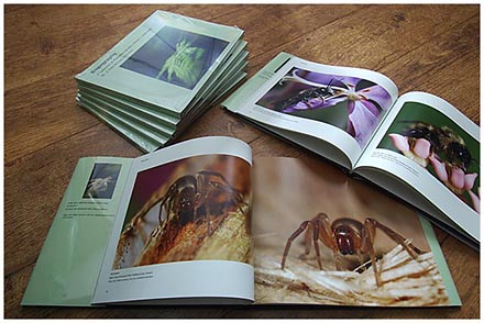 Blurb.com book - Very nice!