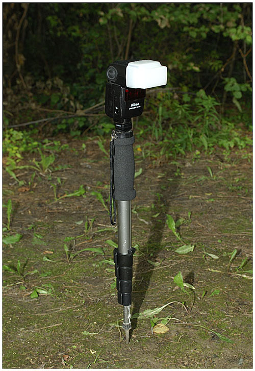 Monopod mounted SB600